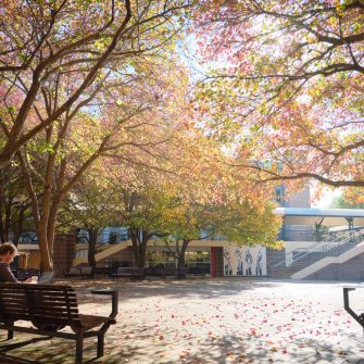 Autumn Colour Kensington Campus